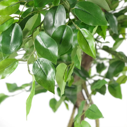 120cm Twisted Trunk Artificial Japanese Fruticosa Style Ficus Tree by Leaf