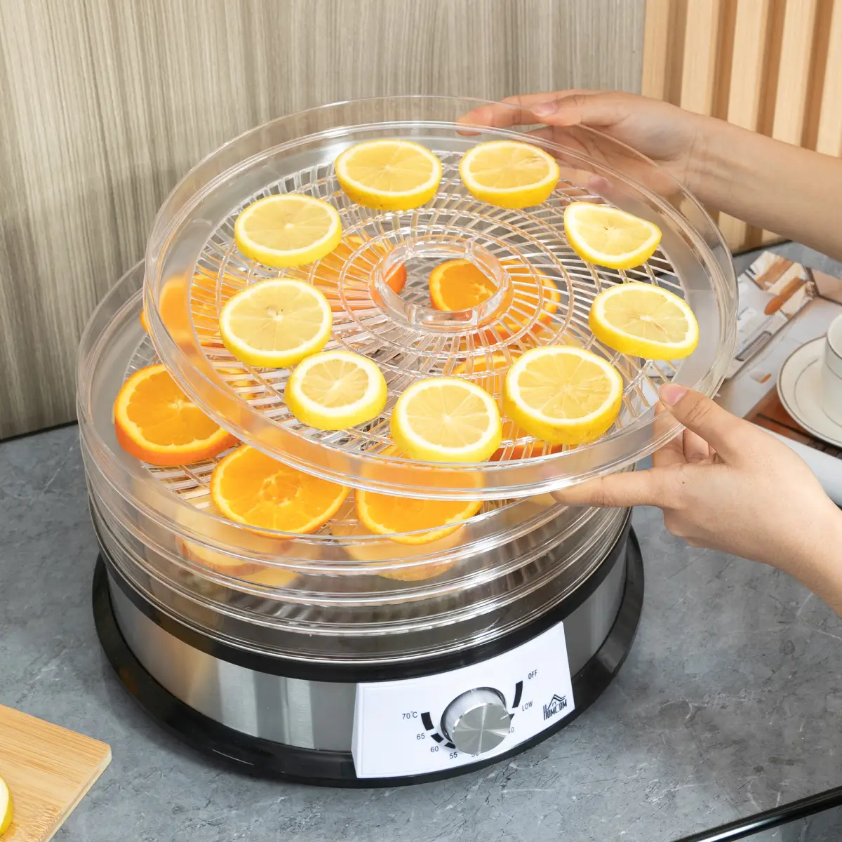 5 Tier Food Dehydrator 250W Stainless Steel Food Dryer Machine Silver by HOMCOM