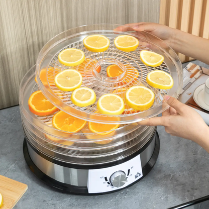5 Tier Food Dehydrator 250W Stainless Steel Food Dryer Machine Silver by HOMCOM