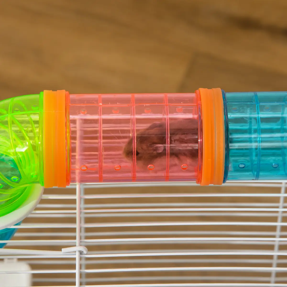 Hamster Cage Rodents House w/ Tubes Exercise Wheel, Water Bottle - Blue by Pawhut