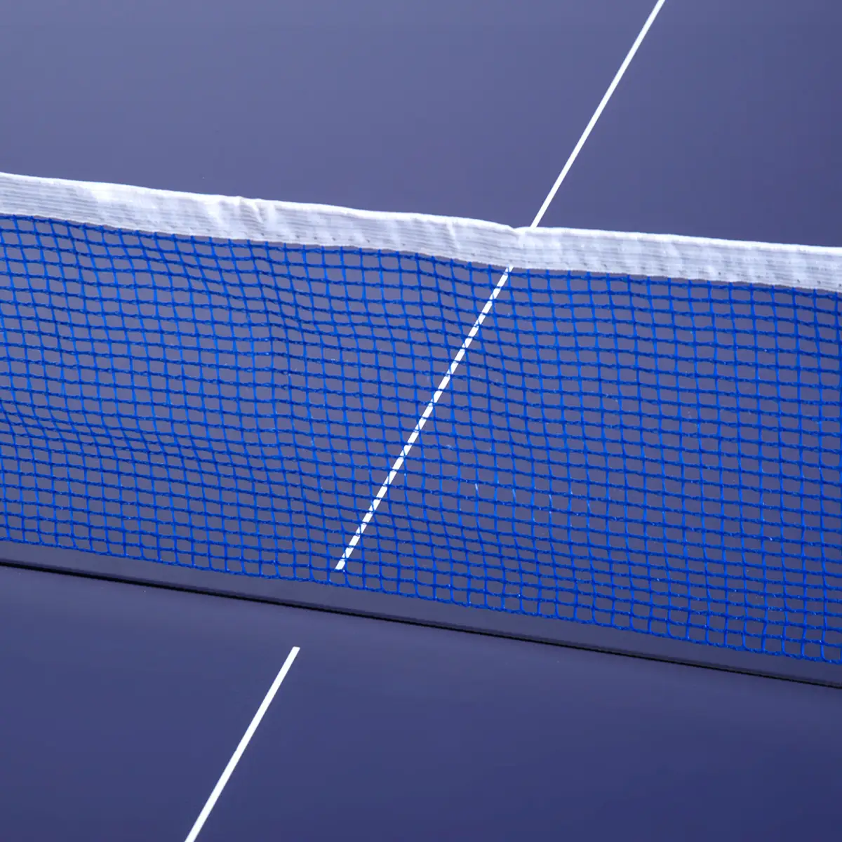 Tennis Table Ping Pong Foldable with Net Game Steel 183cm Indoor, Blue HOMCOM by Unbranded