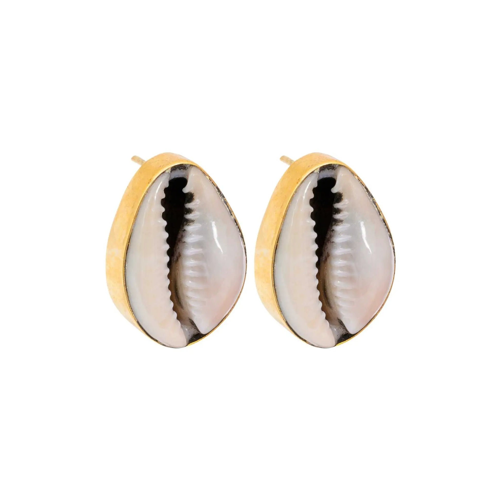 Cowrie Shell Recycled Brass Earrings by Paguro Upcycle