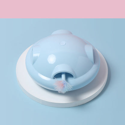 Electric Cat Playmate-2