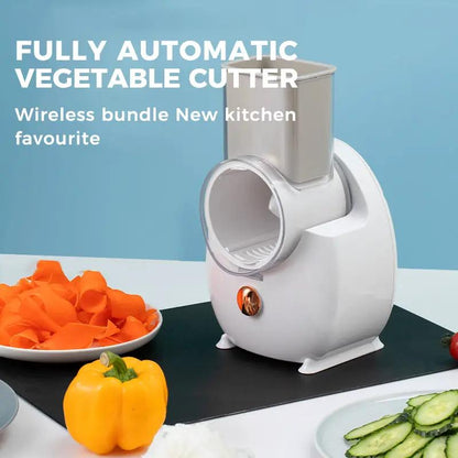 Electric Rotary Vegetable Grater by Cashymart