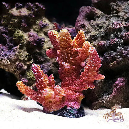 2022 New Artificial Resin Coral Reef Aquarium Ornaments Landscaping Fish Tank Decor Home Fish Tank Aquarium Accessories by All Mart Bristol Ltd