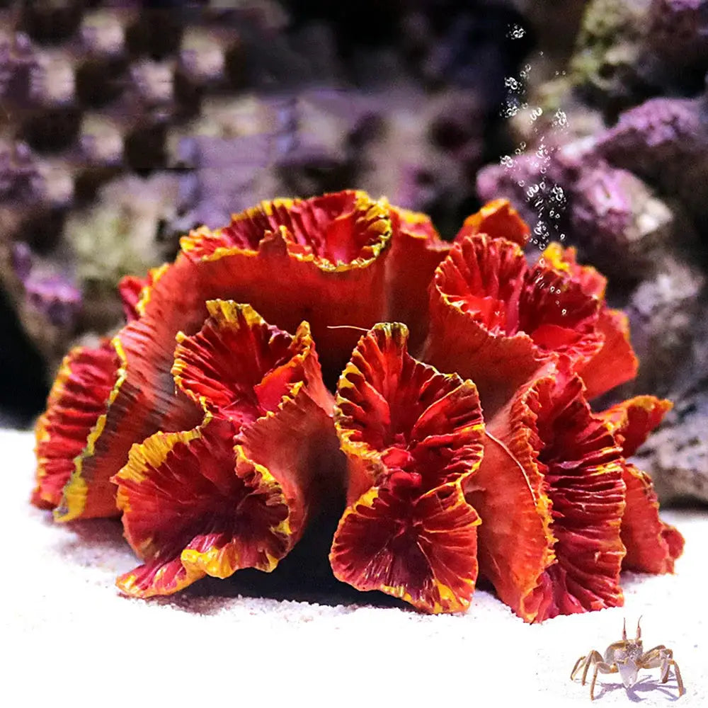 2022 New Artificial Resin Coral Reef Aquarium Ornaments Landscaping Fish Tank Decor Home Fish Tank Aquarium Accessories by All Mart Bristol Ltd