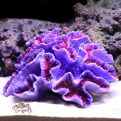 2022 New Artificial Resin Coral Reef Aquarium Ornaments Landscaping Fish Tank Decor Home Fish Tank Aquarium Accessories by All Mart Bristol Ltd