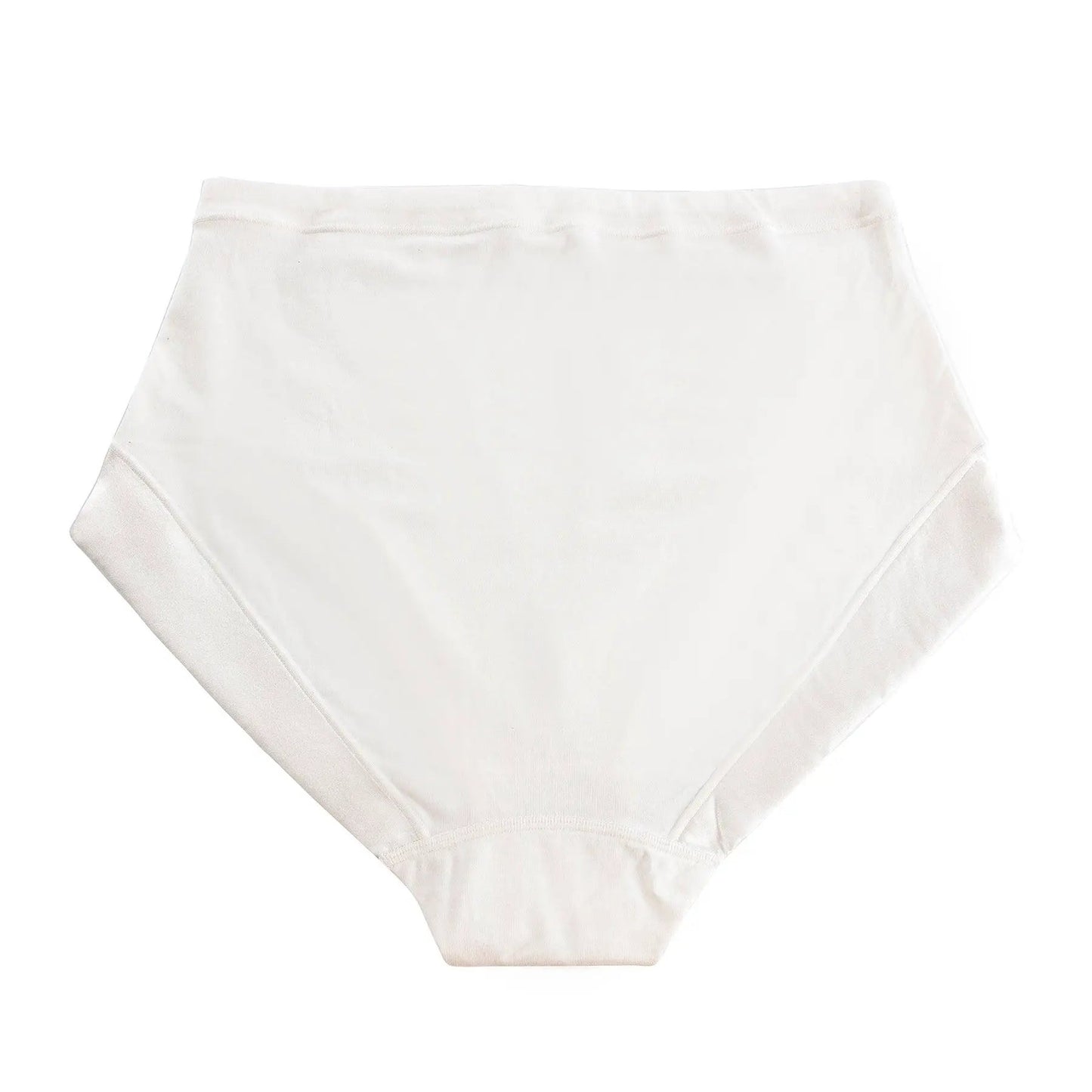 Snowdrop - Silk & Organic Cotton Full Brief in White by Juliemay Lingerie