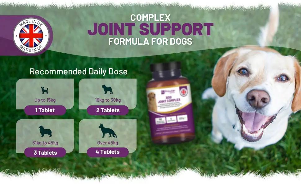 Dog Joint Support 150 Chicken Chewable Tablets 5 Months Supply | UK Made by Prowise by Prowise Healthcare