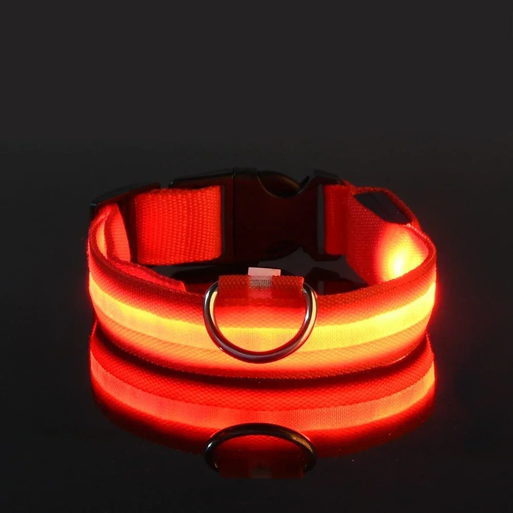 Dog Collar Nylon LED Night Safety Flashing Glow In The Dark Pet Dog Leash pet Dogs Luminous Fluorescent dog accessories collar by All Mart Bristol Ltd
