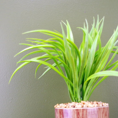 35cm Artificial Grass Plant with Contemporary Ceramic Planter and Metal Stand set by Leaf