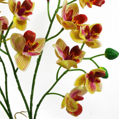 43cm Pink Yellow Artificial Orchid in Ceramic Planter by Leaf