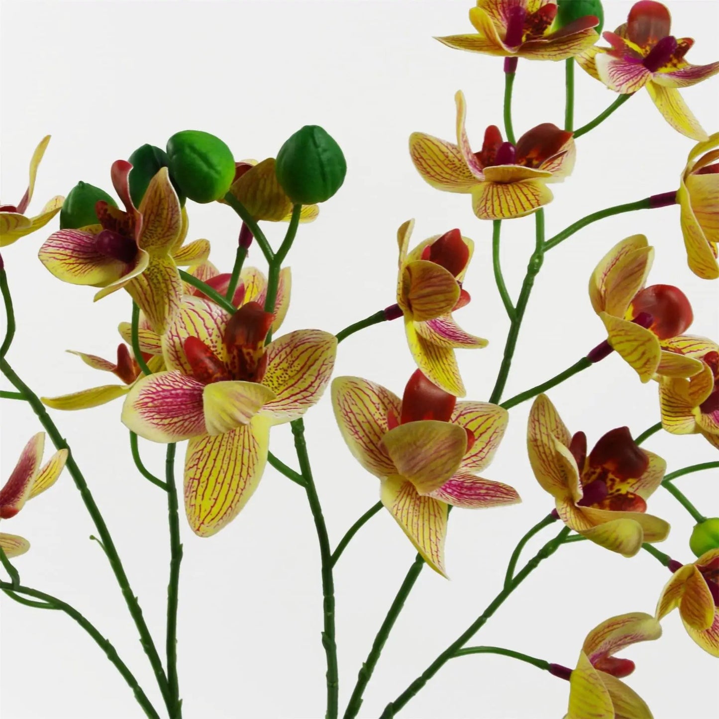 43cm Pink Yellow Artificial Orchid in Ceramic Planter by Leaf