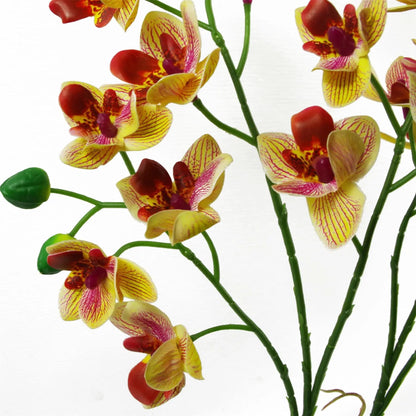 43cm Large Pink Yellow Artificial Orchid in Ceramic Planter by Leaf