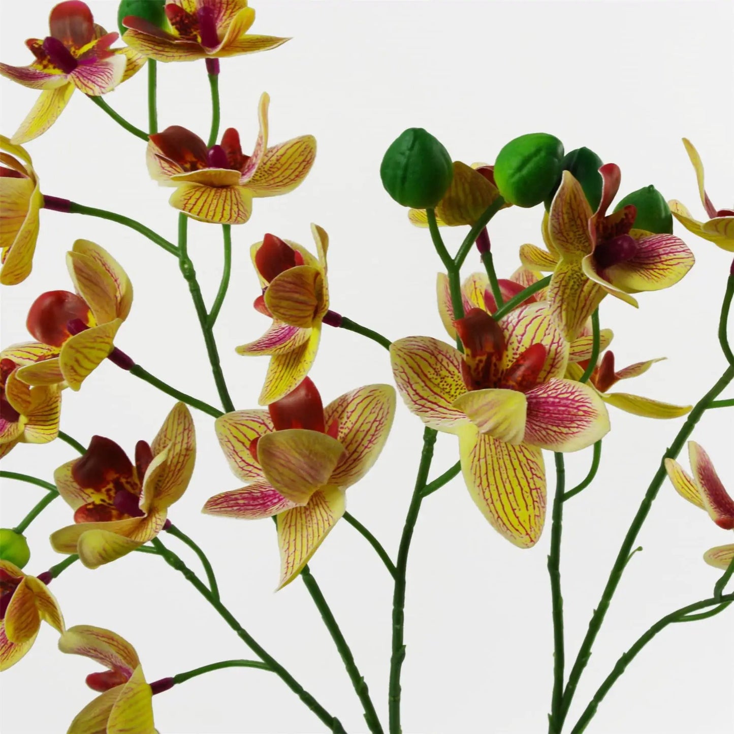43cm Large Pink Yellow Artificial Orchid in Ceramic Planter by Leaf