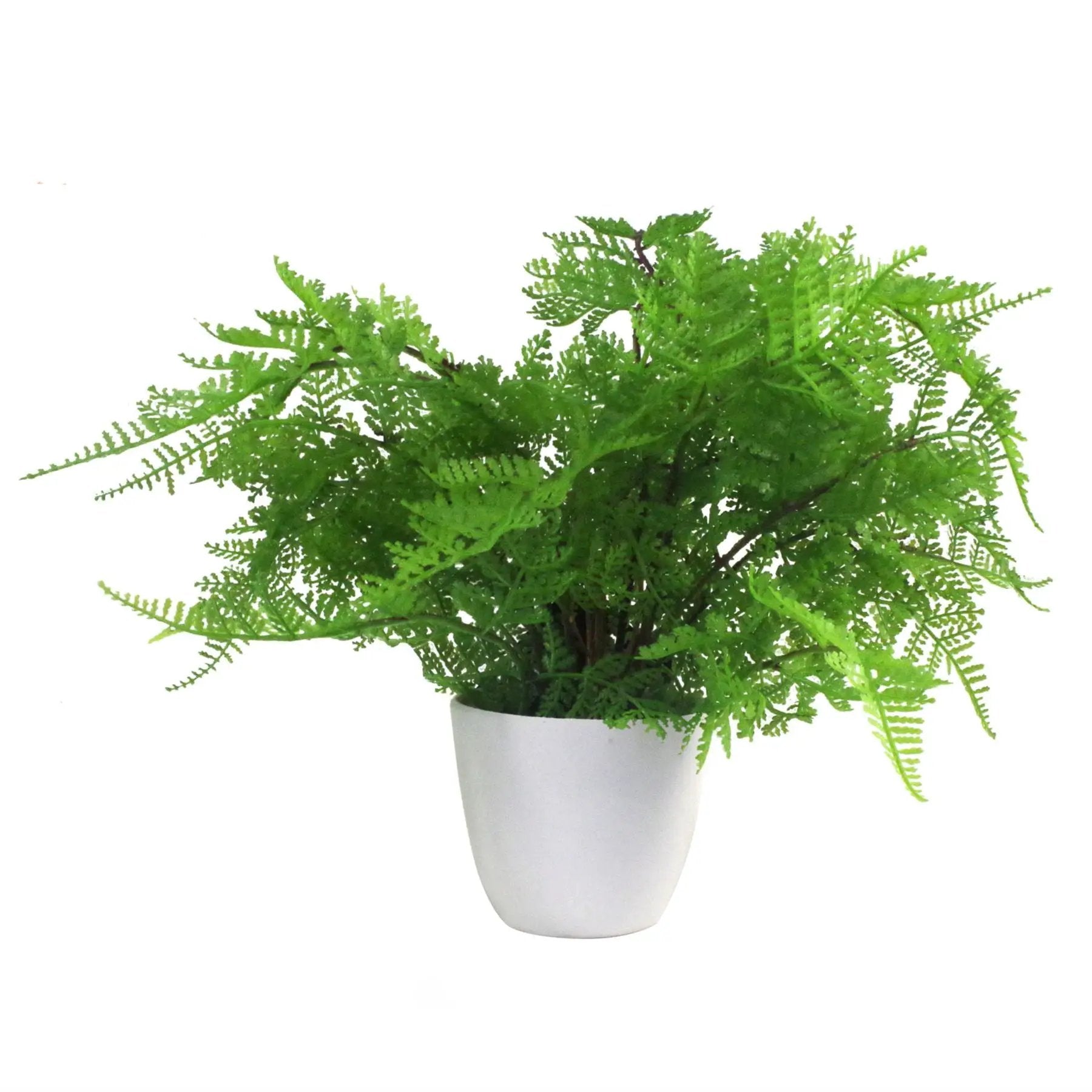 30cm Artificial Potted Lady Fern (Athyrium Filix-Femina) by Leaf