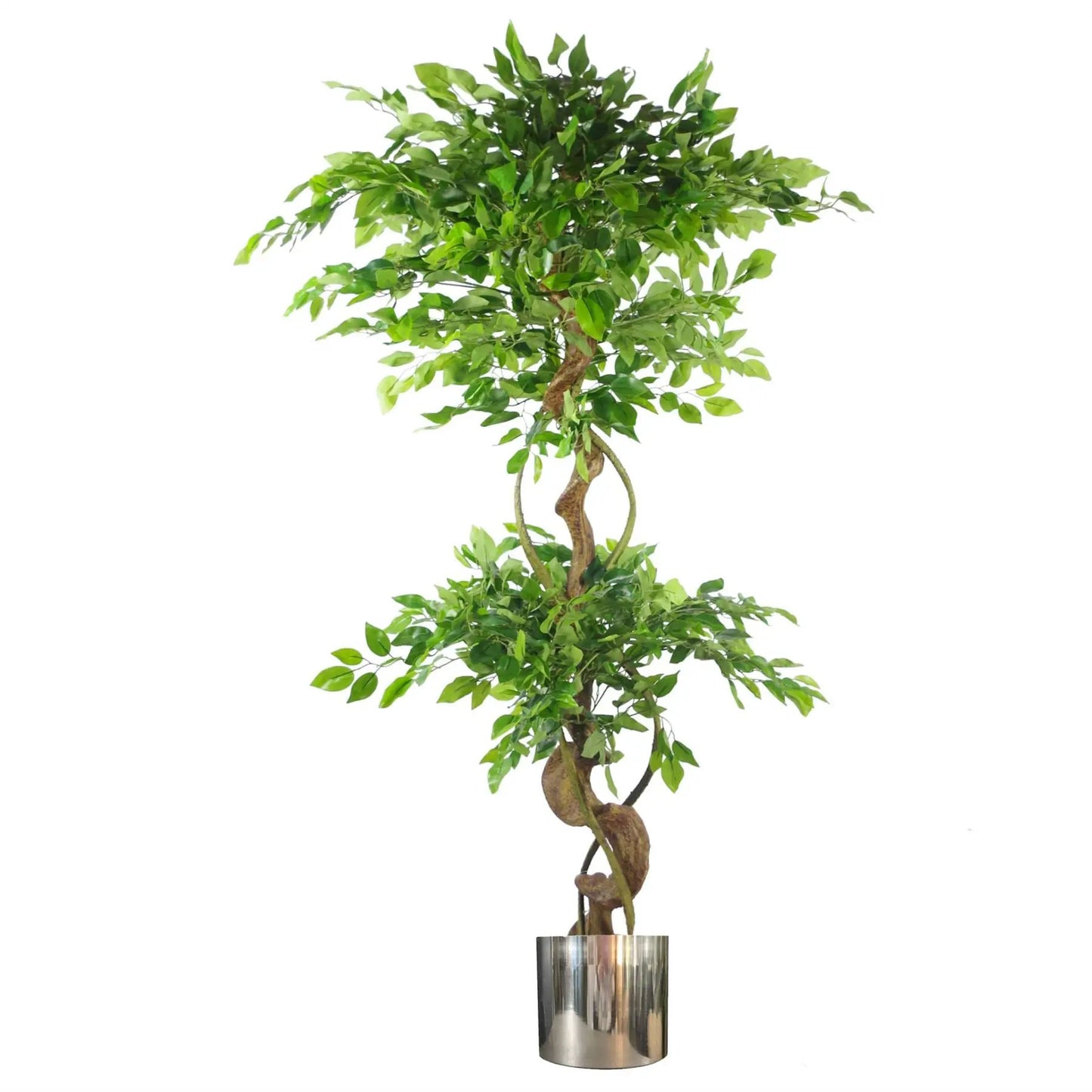 150cm Twisted Trunk Artificial Japanese Fruticosa Ficus Tree Silver Planter by Leaf