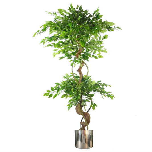 150cm Twisted Trunk Artificial Japanese Fruticosa Ficus Tree Silver Planter by Leaf
