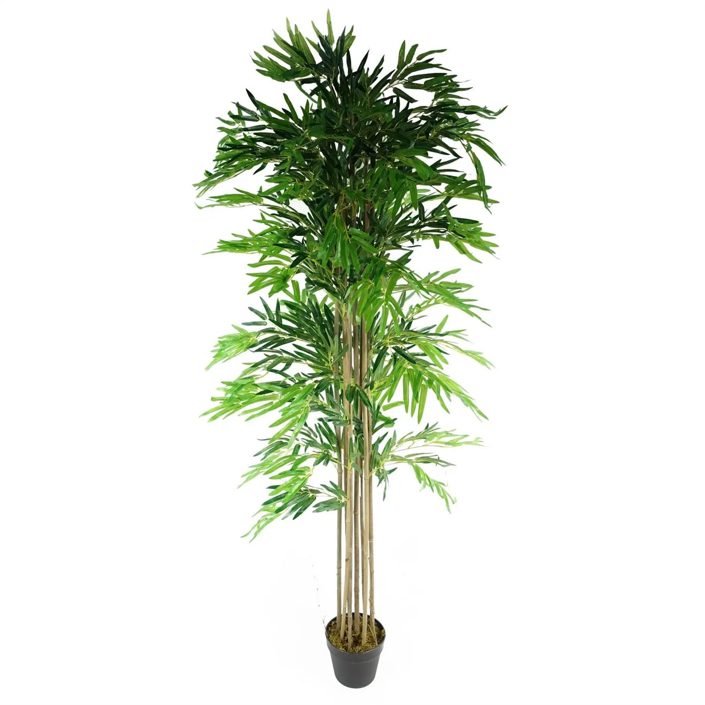 180cm (6ft) Artificial Bamboo Plants Trees Natural Green XL by Leaf