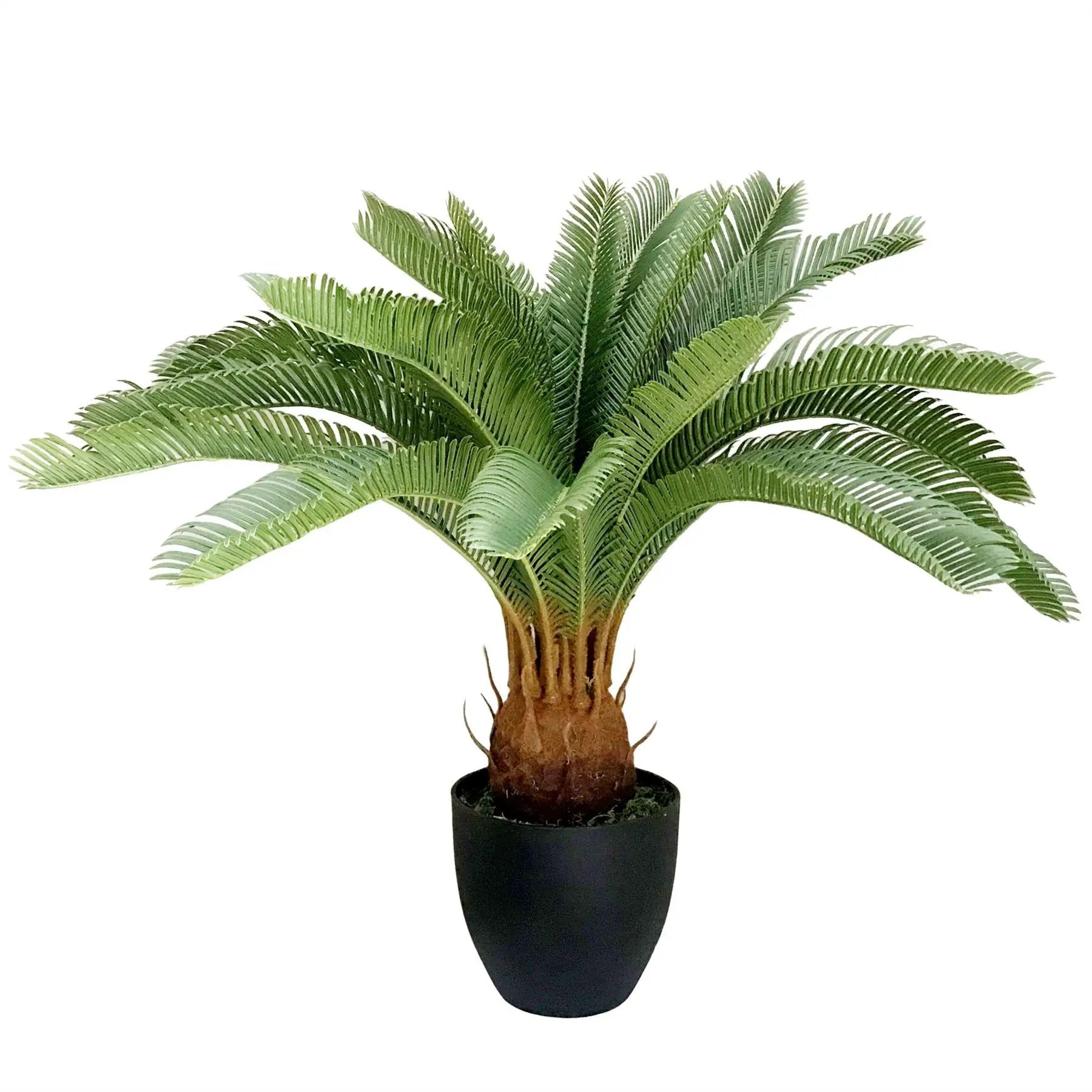 70cm Artificial Tropical Cycas Palm Plant by Leaf