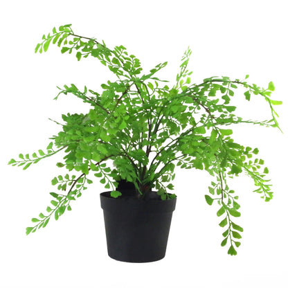 35cm Artificial Potted Fern Plant (Southern Maidenhair Fern) by Leaf
