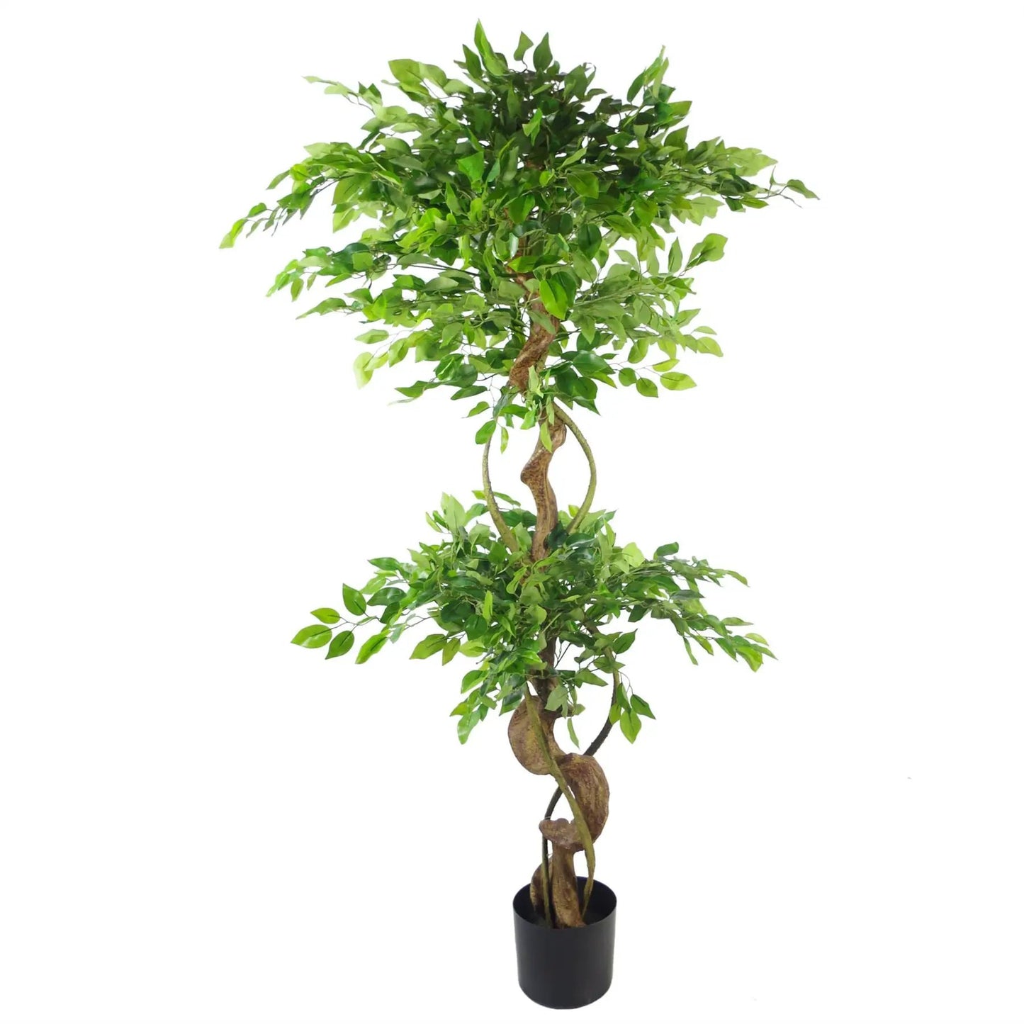 150cm Twisted Trunk Artificial Japanese Fruticosa Style Ficus Tree by Leaf