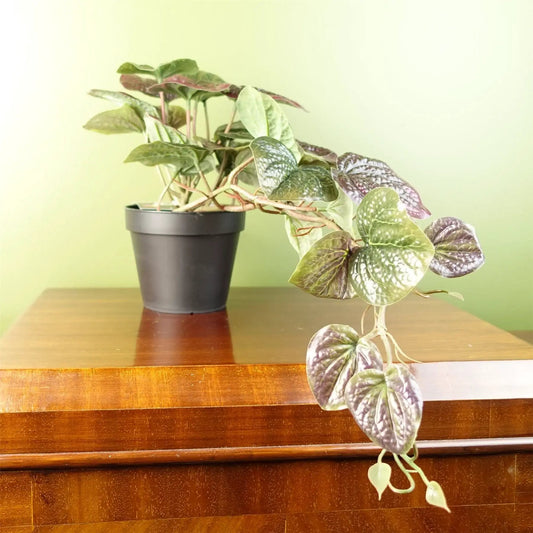 35cm Artificial Trailing Purple Potted Pothos Plant Realistic by Leaf