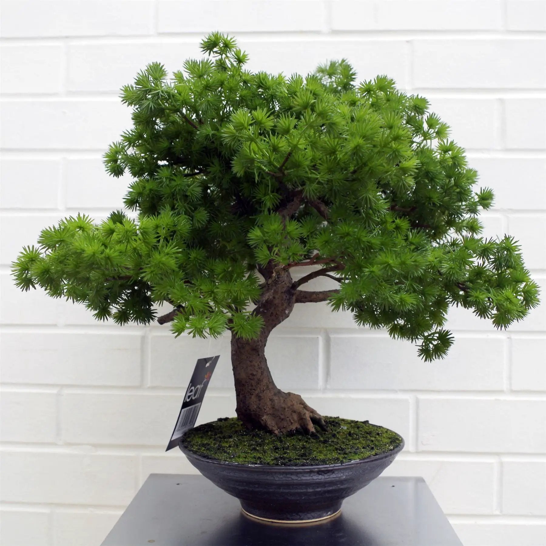 50cm Artificial Luxury Pine Bonsai Tree by Leaf