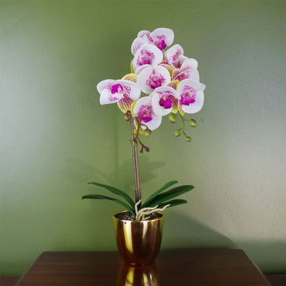 48cm Harlequin Orchid Artificial Pink with Gold Pot by Leaf