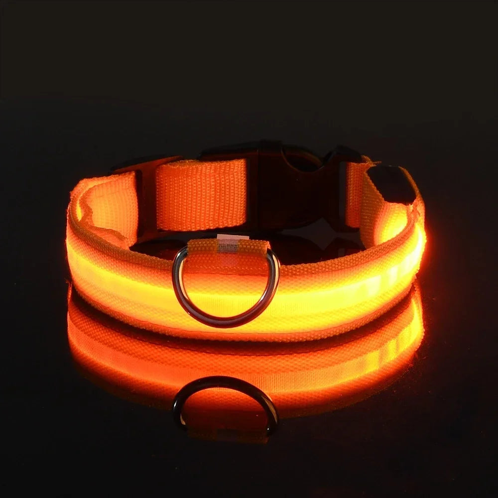 Dog Collar Nylon LED Night Safety Flashing Glow In The Dark Pet Dog Leash pet Dogs Luminous Fluorescent dog accessories collar by All Mart Bristol Ltd