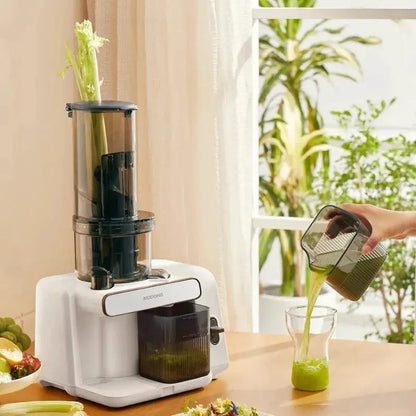 Slow Masticating Juicer with Large Feed Chute for Fruits by All Mart Bristol Ltd