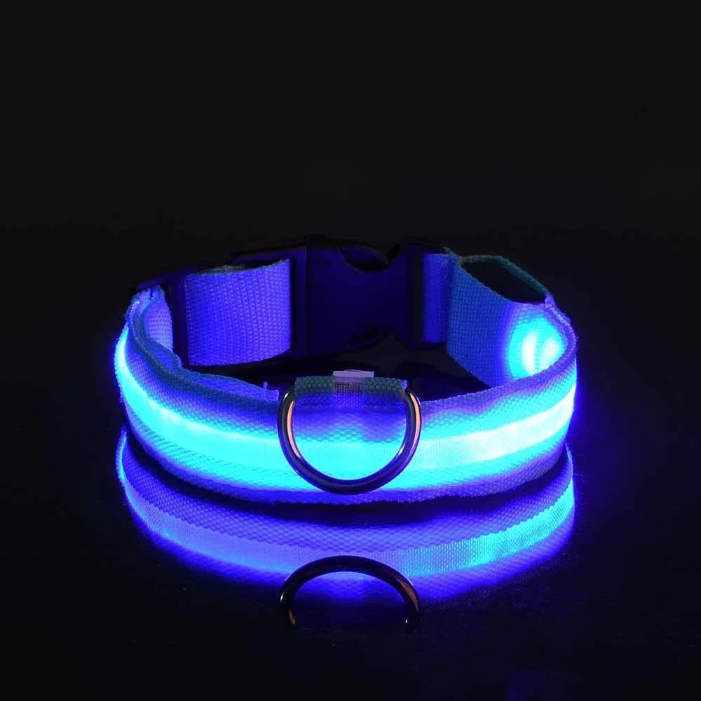 Dog Collar Nylon LED Night Safety Flashing Glow In The Dark Pet Dog Leash pet Dogs Luminous Fluorescent dog accessories collar by All Mart Bristol Ltd