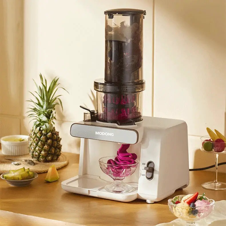 Slow Masticating Juicer with Large Feed Chute for Fruits by All Mart Bristol Ltd