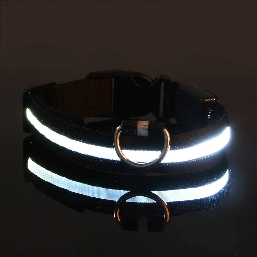 Dog Collar Nylon LED Night Safety Flashing Glow In The Dark Pet Dog Leash pet Dogs Luminous Fluorescent dog accessories collar by All Mart Bristol Ltd
