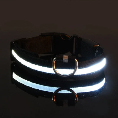 Dog Collar Nylon LED Night Safety Flashing Glow In The Dark Pet Dog Leash pet Dogs Luminous Fluorescent dog accessories collar by All Mart Bristol Ltd