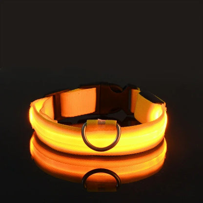 Dog Collar Nylon LED Night Safety Flashing Glow In The Dark Pet Dog Leash pet Dogs Luminous Fluorescent dog accessories collar by All Mart Bristol Ltd