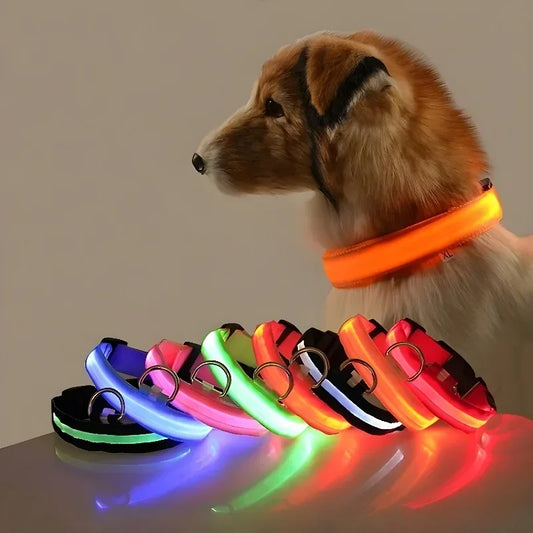Dog Collar Nylon LED Night Safety Flashing Glow In The Dark Pet Dog Leash pet Dogs Luminous Fluorescent dog accessories collar by All Mart Bristol Ltd