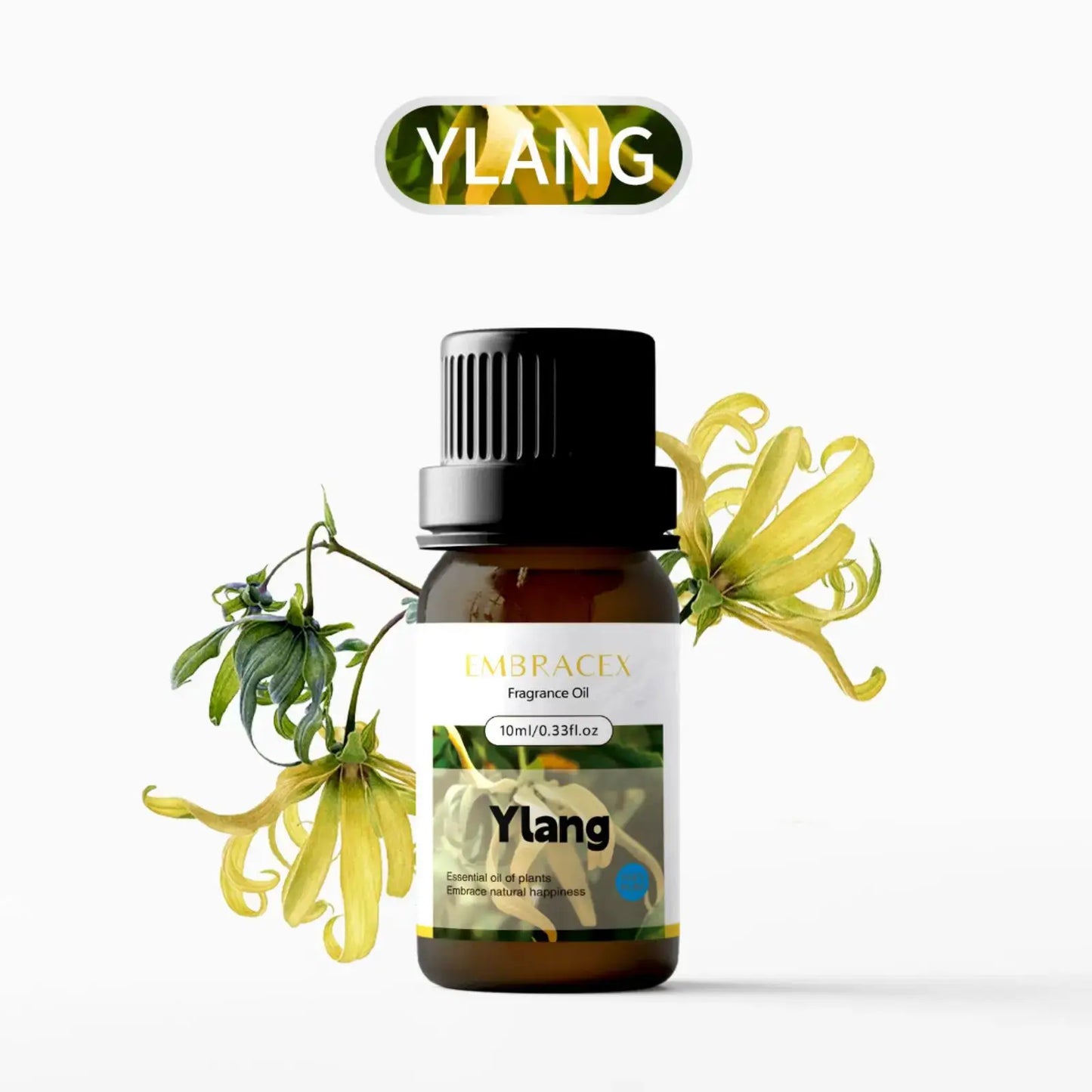 21Type Floral Perfume Oil Flower Fragance Skincare Essential Oils Perfumes Women Body Massage Oil Funny Gifts Mother Day Gift by All Mart Bristol Ltd