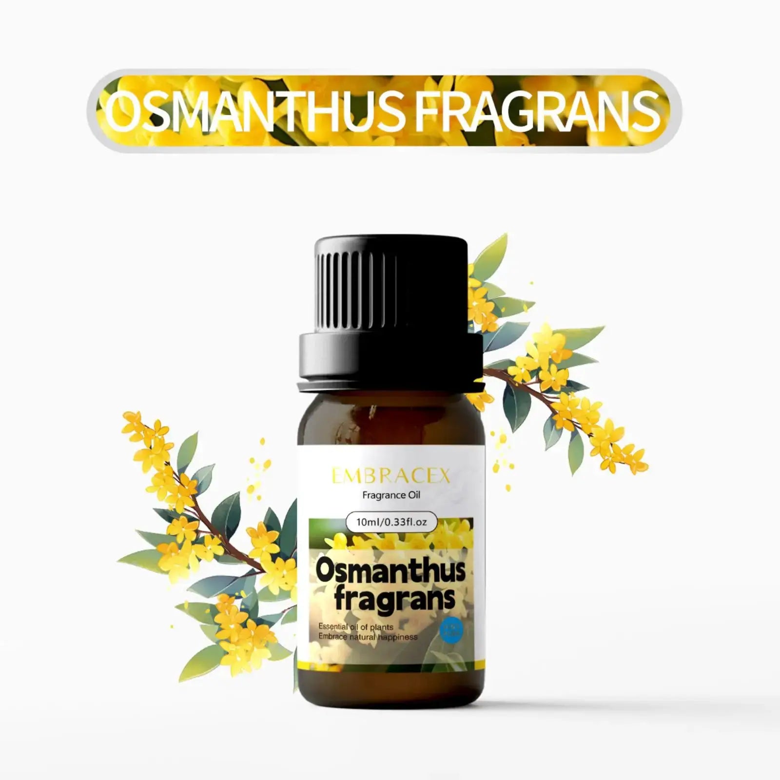 21Type Floral Perfume Oil Flower Fragance Skincare Essential Oils Perfumes Women Body Massage Oil Funny Gifts Mother Day Gift by All Mart Bristol Ltd