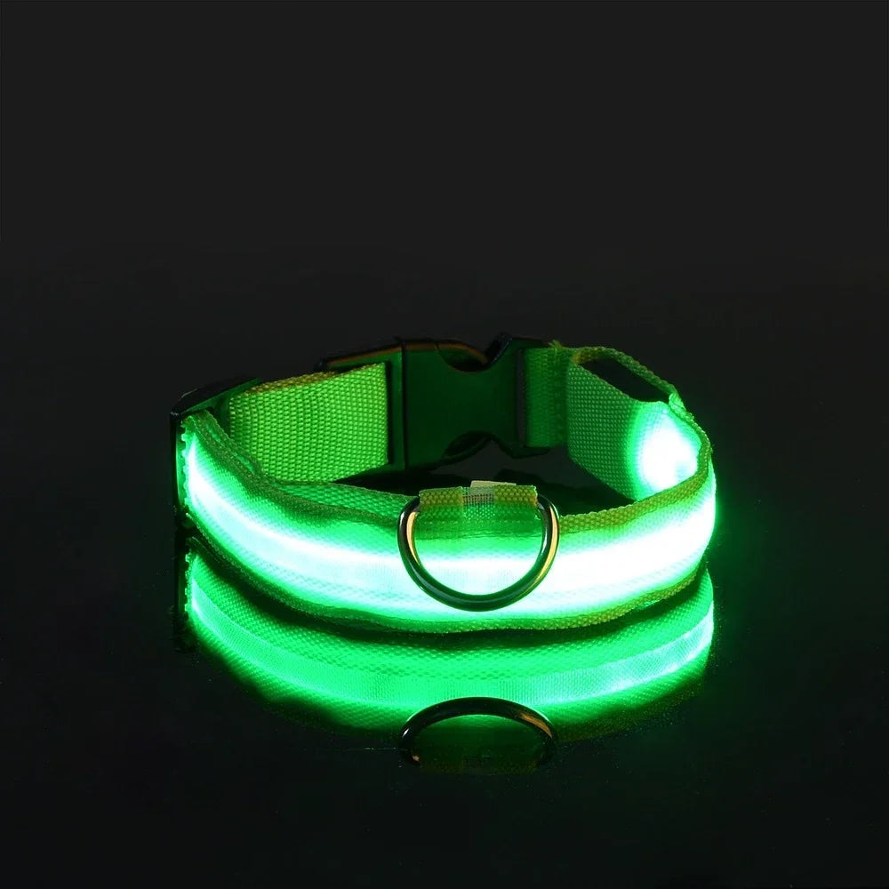 Dog Collar Nylon LED Night Safety Flashing Glow In The Dark Pet Dog Leash pet Dogs Luminous Fluorescent dog accessories collar by All Mart Bristol Ltd