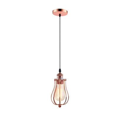 Ceiling Rose Balloon Cage Hanging Pendant Lamp Holder Light Fitting Lighting Kit UK by LEDSone