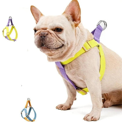 Rainbow Colorblock Pet Harness Set Anti-Escape Vest Type Dog Harness Chest Leash Cotton Designer Puppy Dog Harness Set by Dropshipman
