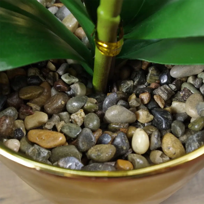 46cm Artificial Orchid White and Gold by Leaf