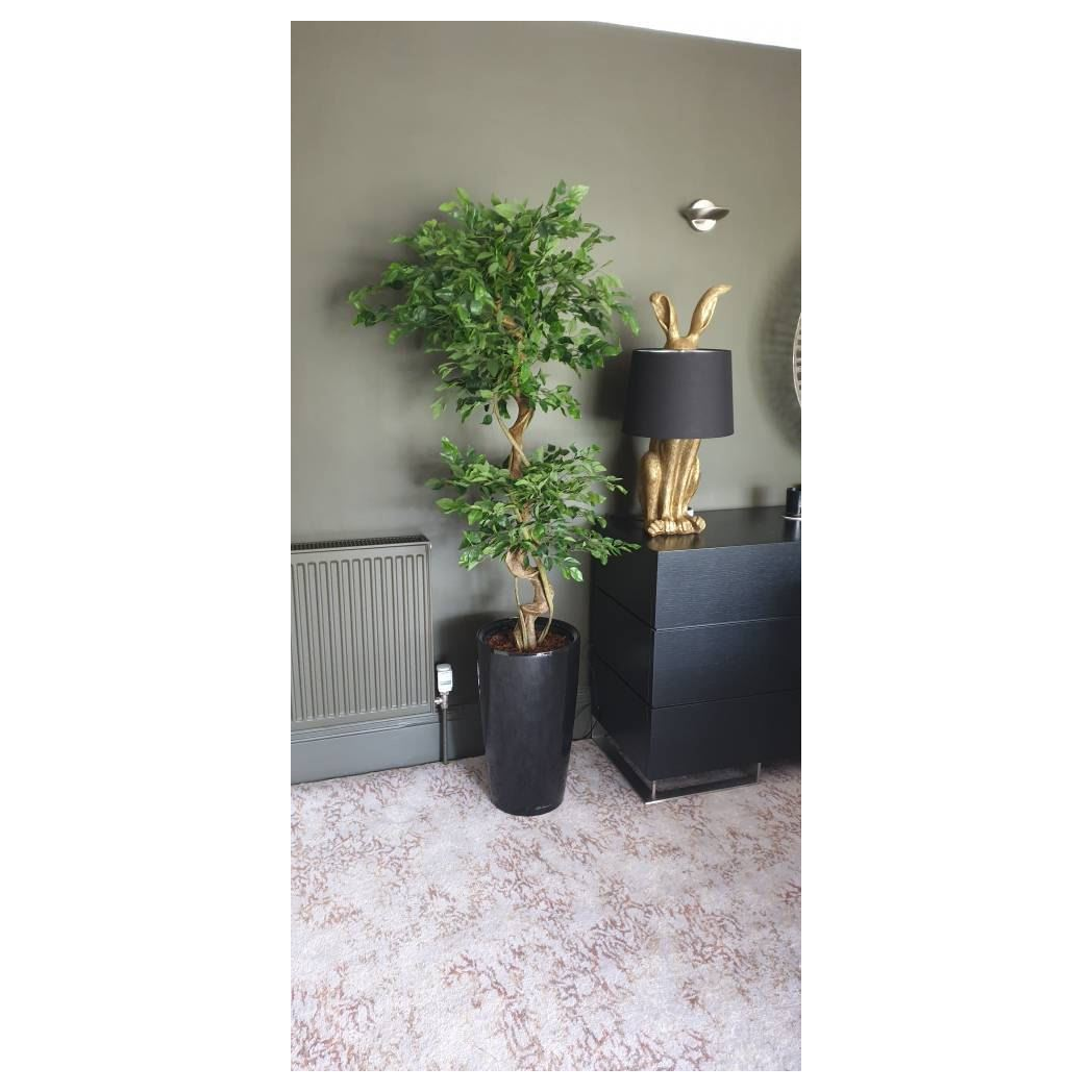 150cm Twisted Trunk Artificial Japanese Fruticosa Style Ficus Tree by Leaf