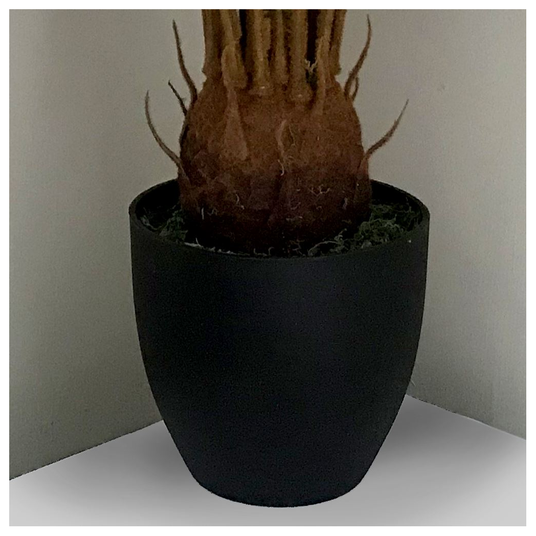 70cm Artificial Tropical Cycas Palm Plant by Leaf
