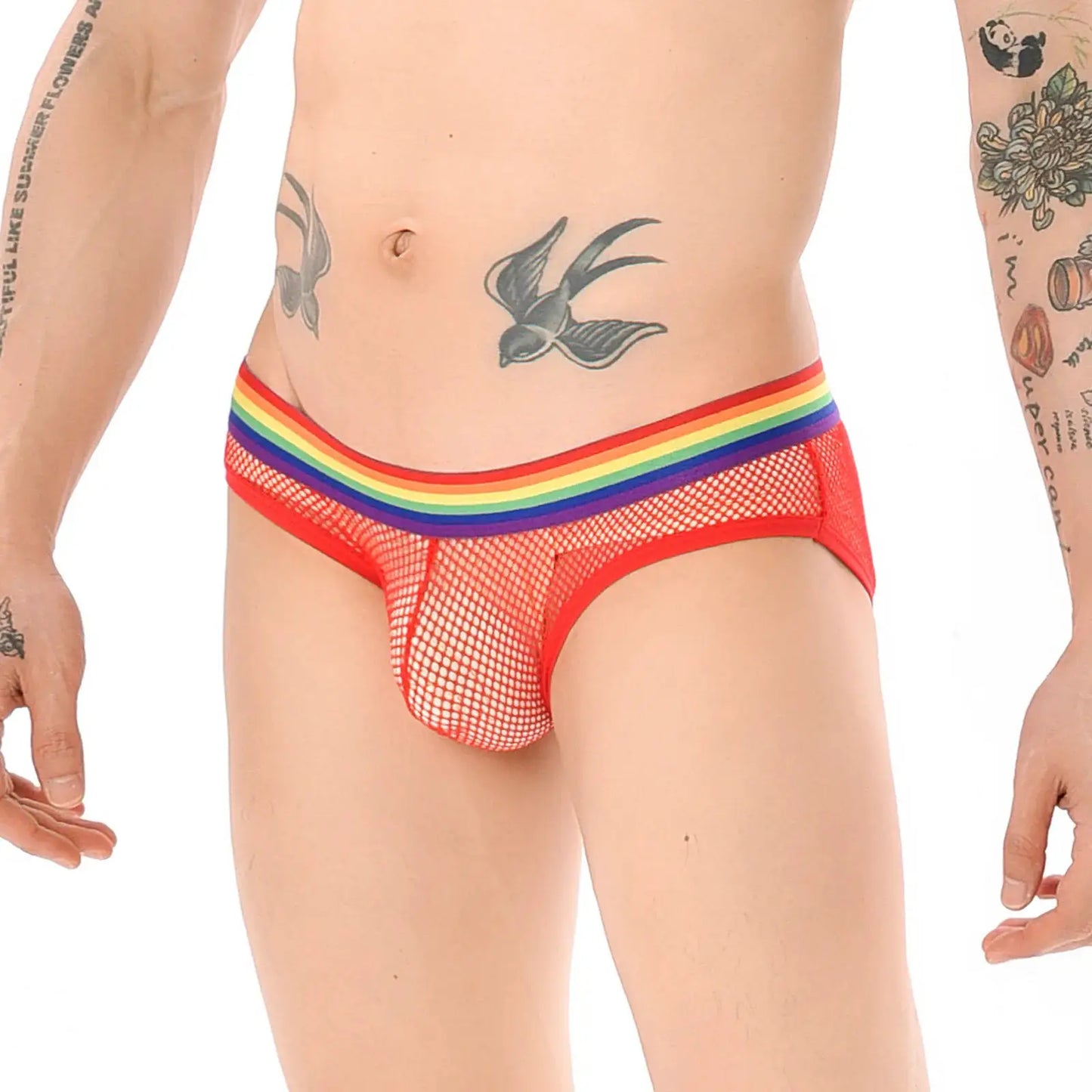 【GWH_60】Men's Underwear Mesh Rainbow Waistband Briefs Sheer Sexy Underpants by All Mart Bristol Ltd