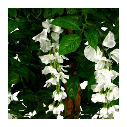 130cm Luxury Artificial Wisteria Tree White Flowers Premium Range by Leaf