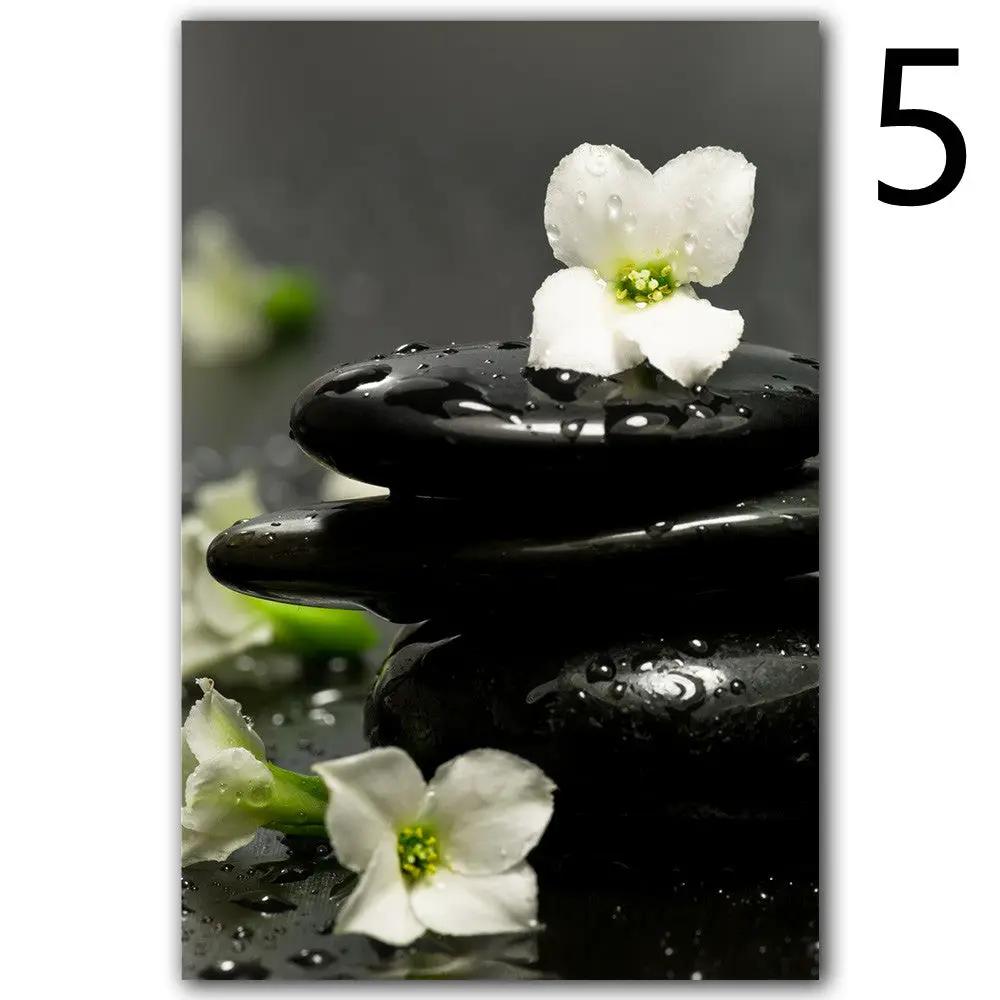 Wall Art Print Spa Orchid Poster Wall Picture by Dropshipman