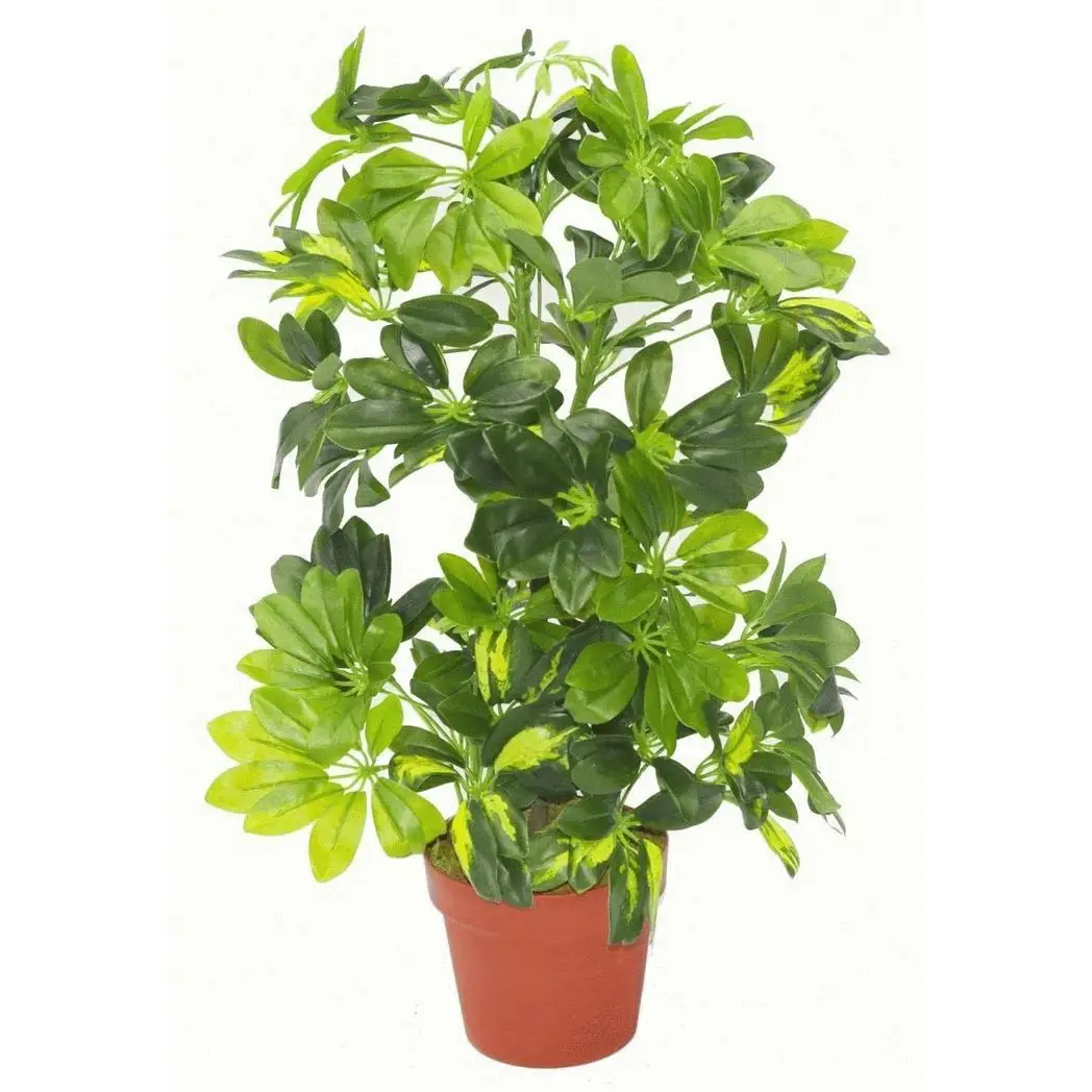 75cm Artificial Arboricola Gold Capella Plant Copper Metal Planter by Leaf