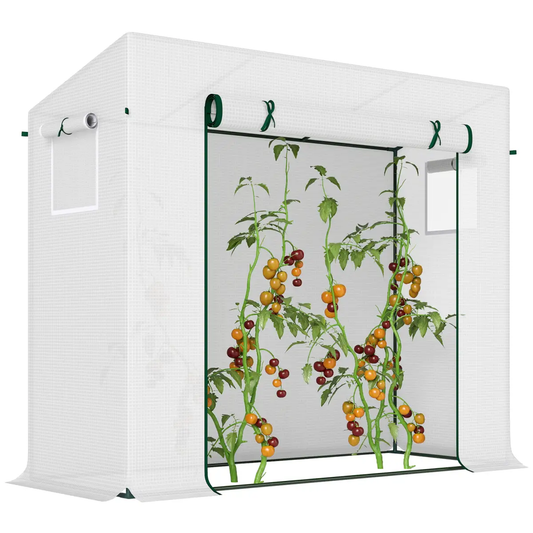 Outsunny 200x76x168cm Walk-in Garden Greenhouse Plant Warm House w/ Roll Up Door by Outsunny